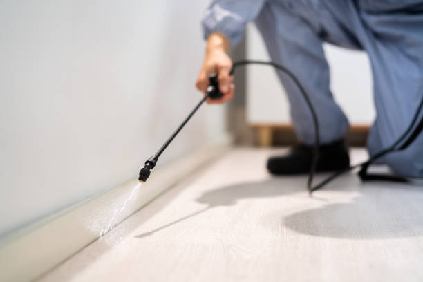 Licensed Cockroach Control service in Five Points, OH - Nex Pest Control