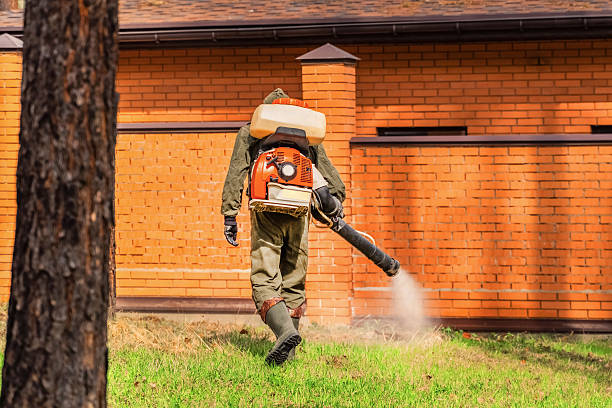 Top rated local Cockroach Control specialists in Five Points, OH